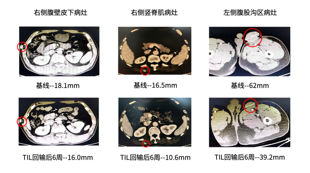 a348c9c49cc2f934f83a3cc51cd747b.png