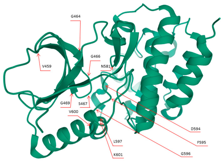 8a59c311b95291a33f215f758d0c9cb.png