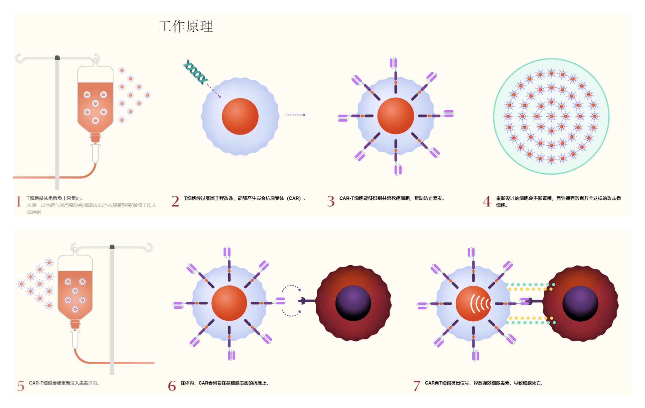 CAR-T细.jpg