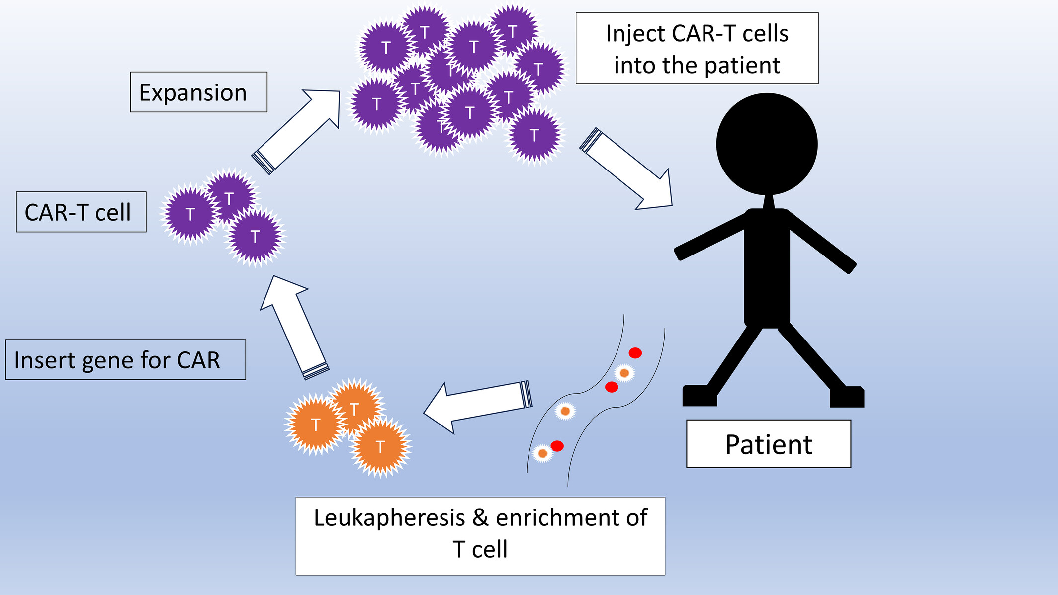 CAR-T再攻一城！80%患者持续缓解、近两年无复发！红斑狼疮/溶血性贫血临床试验正在招募中
