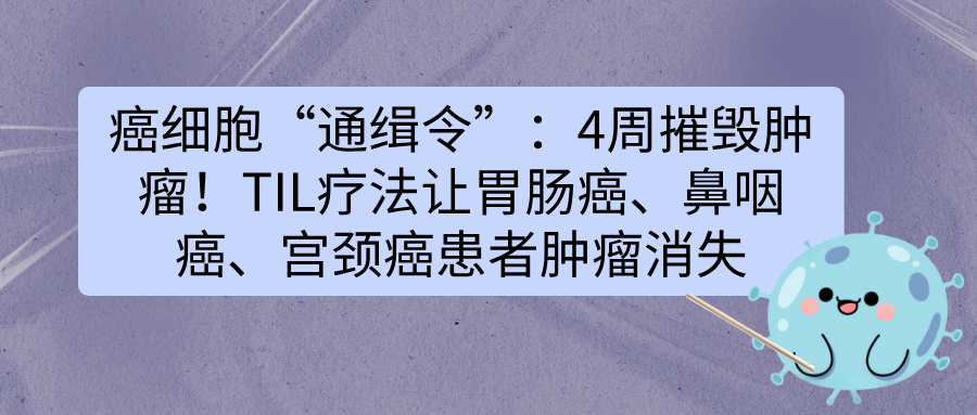 癌细胞“通缉令”：4周摧毁肿瘤！TIL疗法让胃肠癌、鼻咽癌、宫颈癌患者肿瘤消失