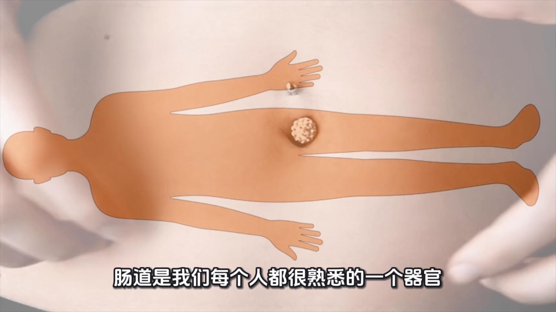 肠道为什么是人体的免疫器官？