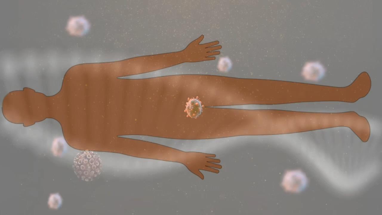 胸腺肽在人体免疫系统中的作用