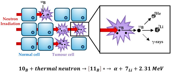 前沿抗癌技术BNCT落地中国！BNCT精准治疗头颈癌、乳腺癌、黑色素瘤，效果获证实