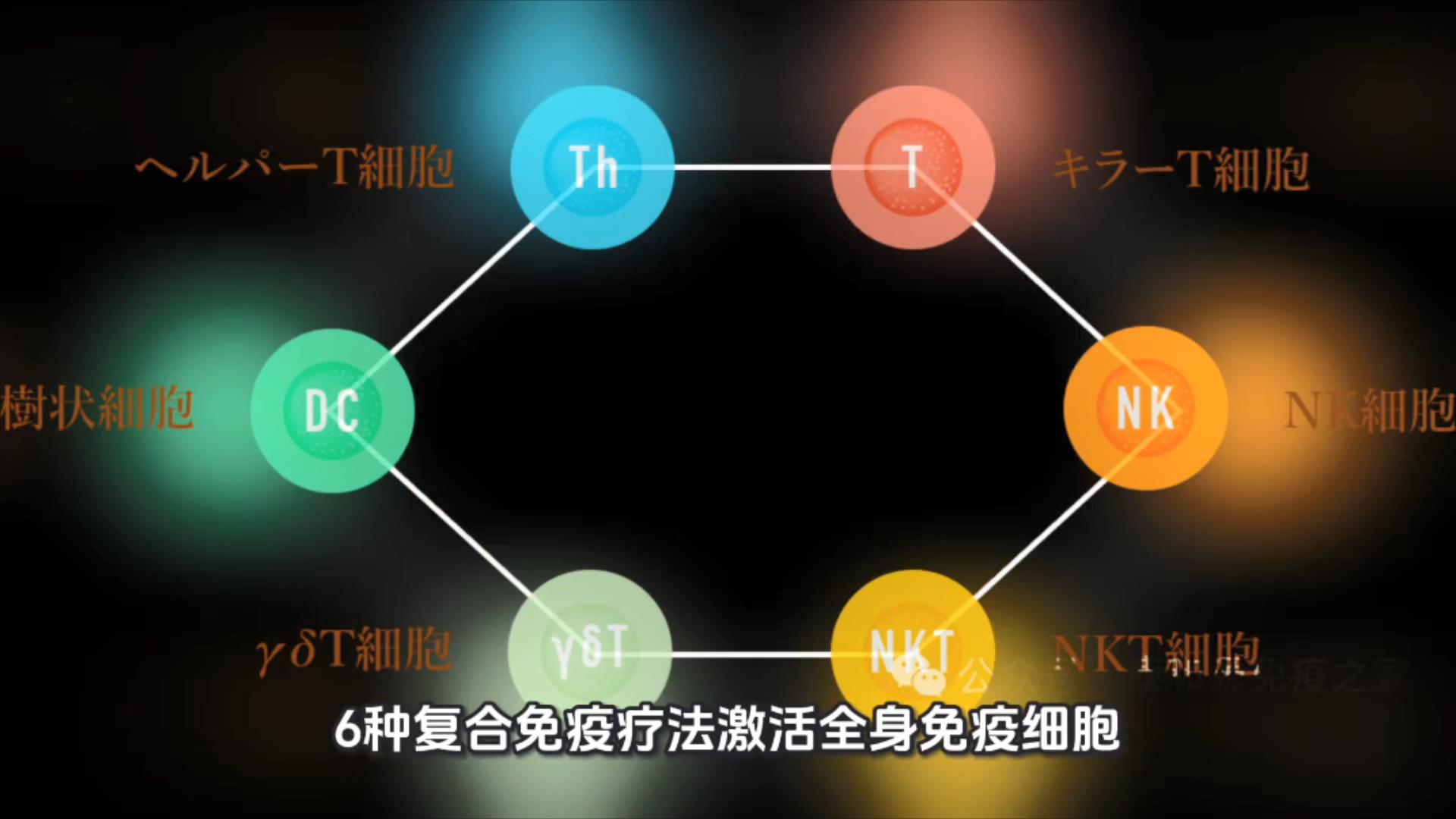 6种免疫细胞“联军”协同对抗癌症